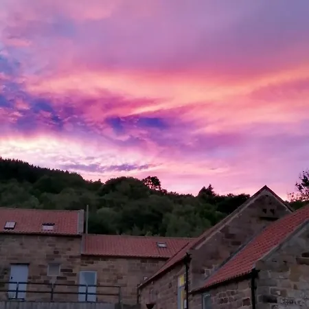 Luddie's Country - Rose * Aislaby