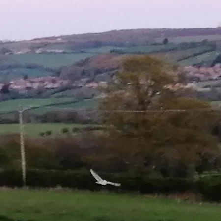 Semesterbostad Luddie's Country - Rose *